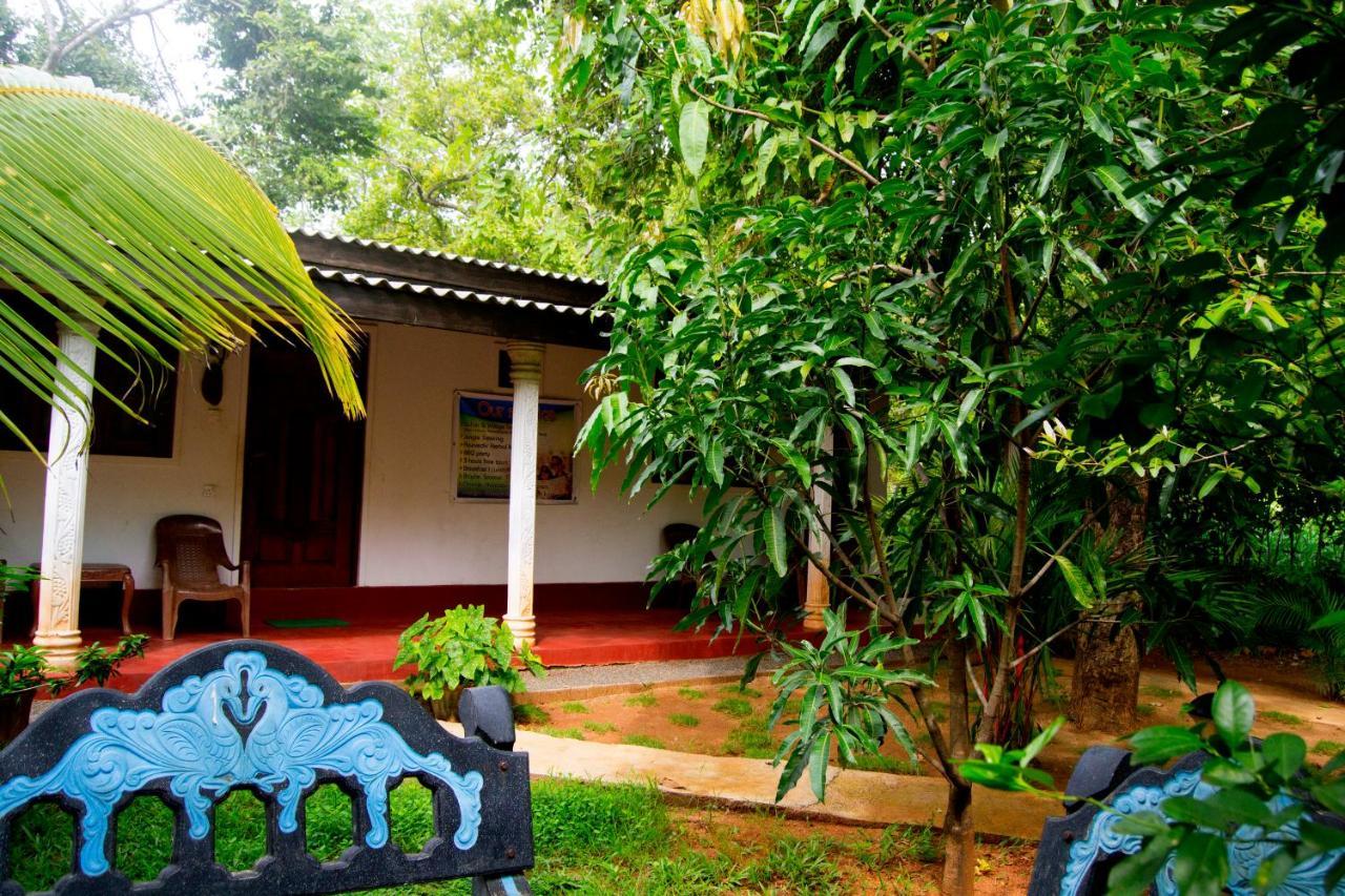 Hotel Samanala Sigiriya Exteriér fotografie